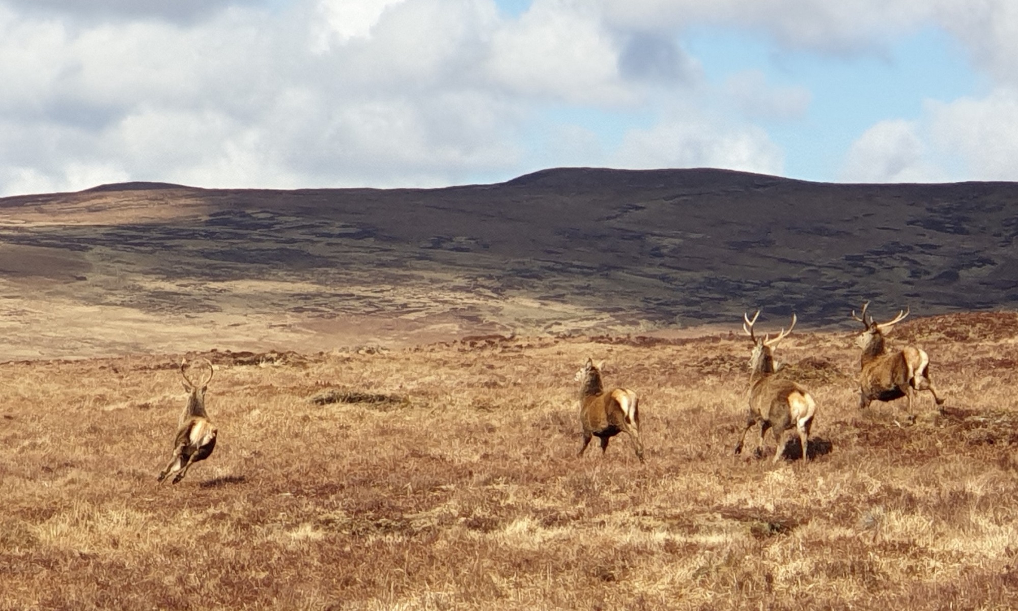 Cycling Scotland - redspokes